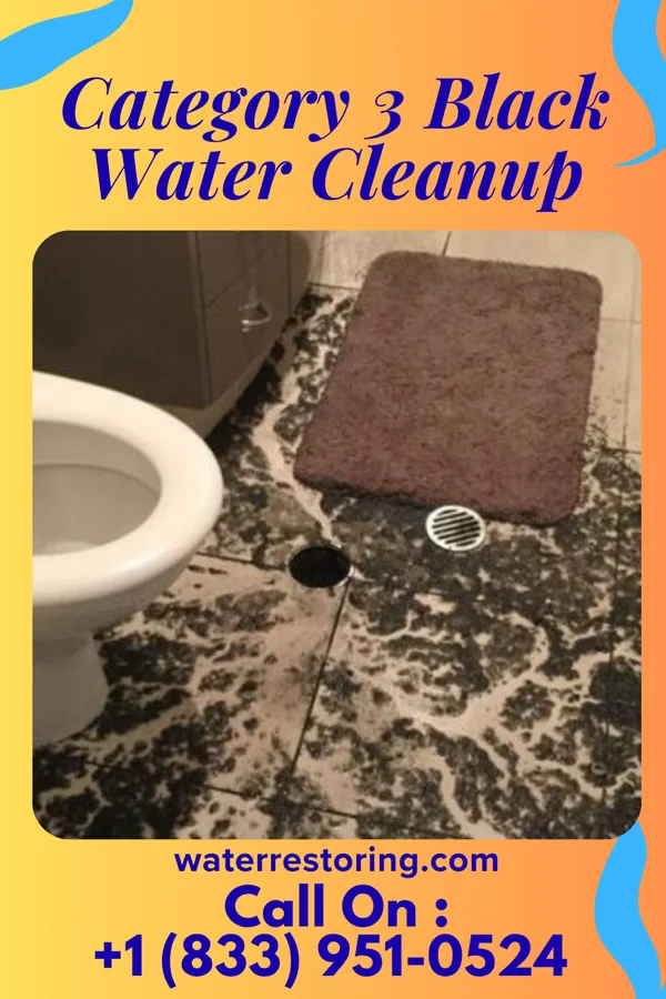 Category 3 Black Water Cleanup in Ovid, CO