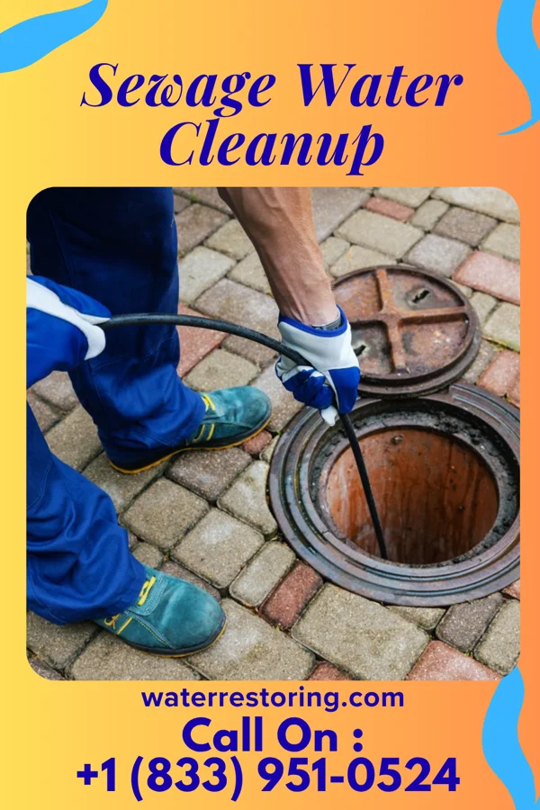 Sewage Water Cleanup in Ovid, CO