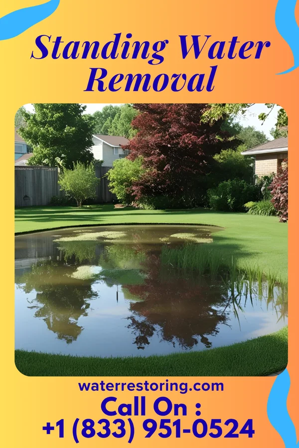 Standing Water Removal in Ovid, CO